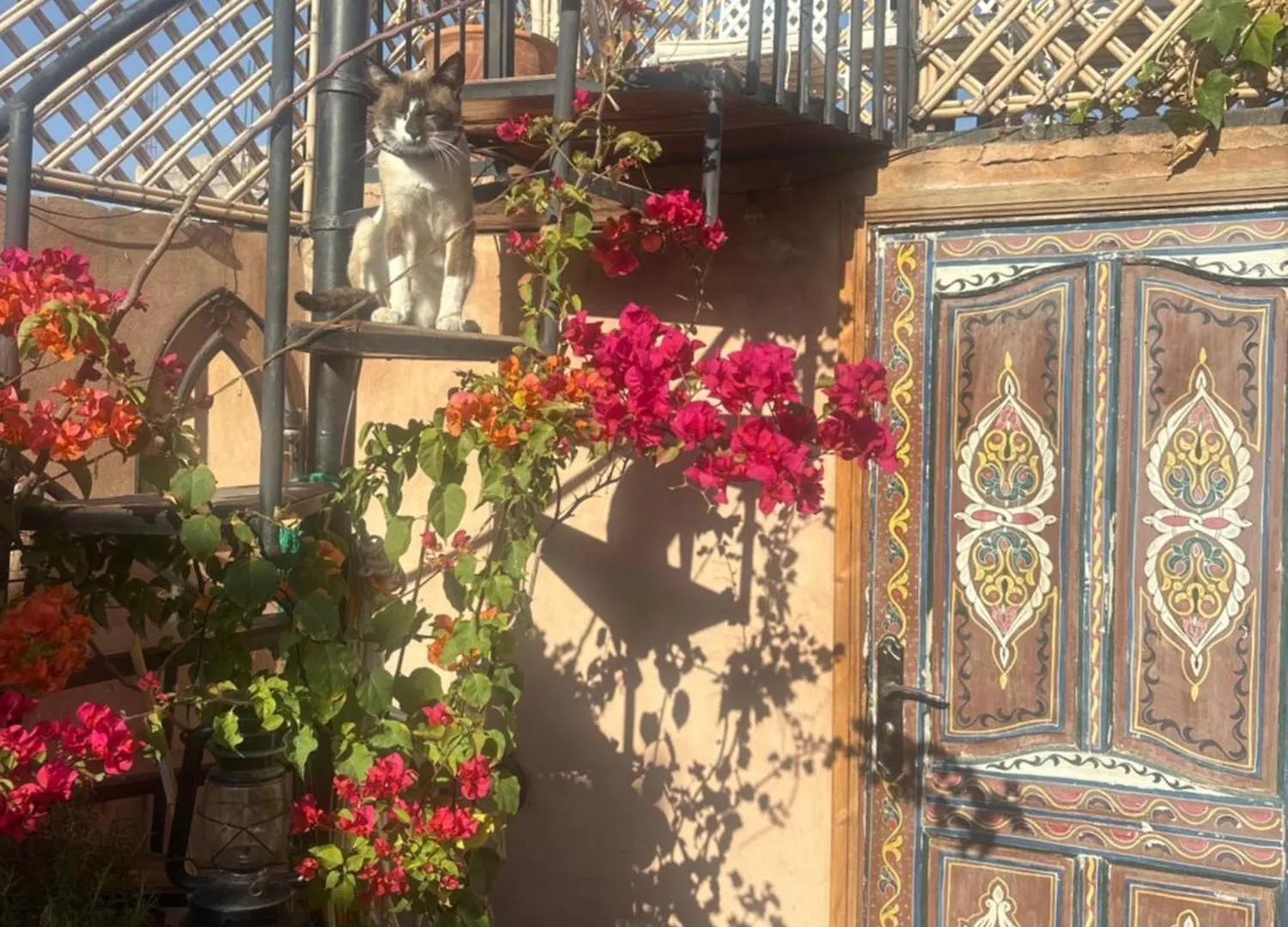 Riad Minami Marrakesh